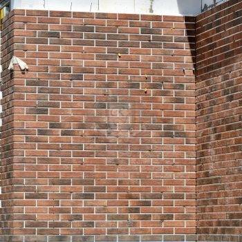 Проект № 100 фото