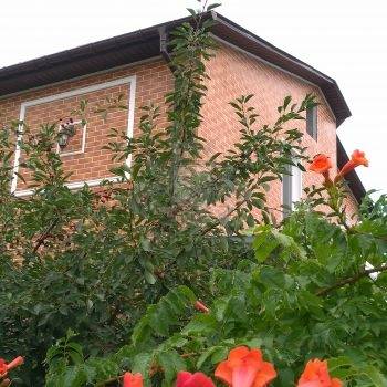 Проект № 67 фото