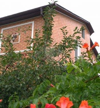 Работа 67 фото