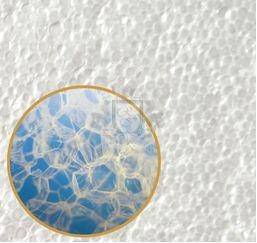 фото пеноплпста